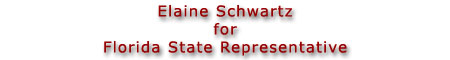 Elaine Schwartz for Florida State Representative